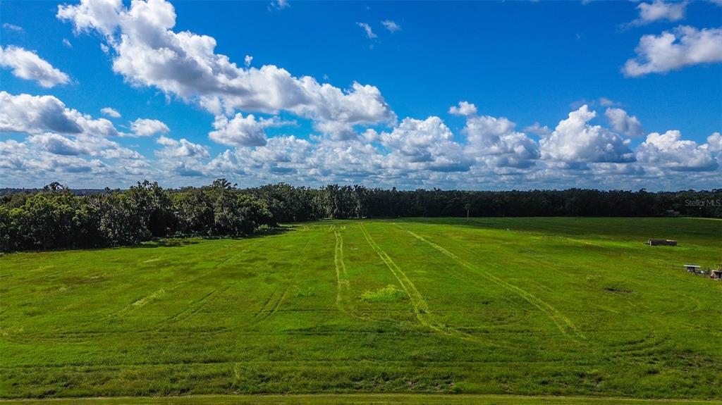 00 MILLER ROAD, DADE CITY, FL — photo 5 of 12