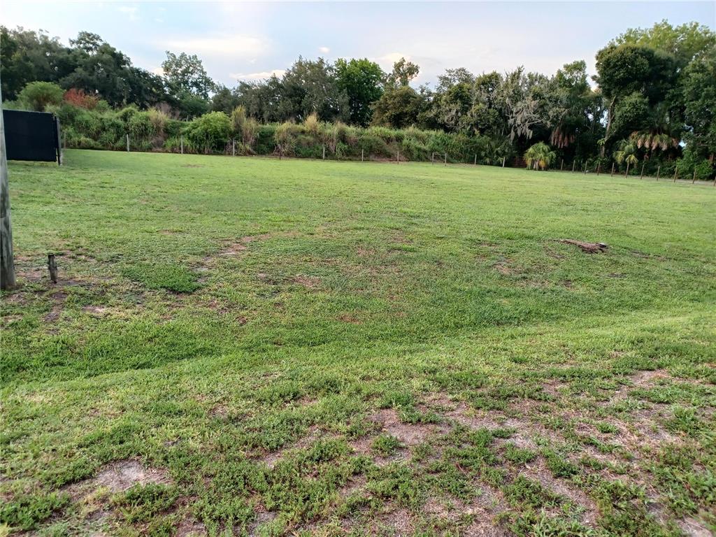 A large, grassy, fenced-in vacant lot is bordered by a line of trees and shrubs — 8310 25TH STREET E, PARRISH, FL