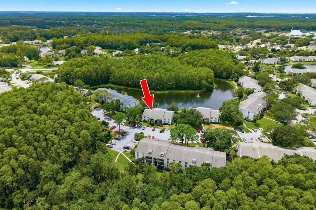 An aerial view shows a multi-unit residential building complex surrounded by trees and a pond — 1345 PINE RIDGE CIRCLE E UNIT A2, TARPON SPRINGS, FL