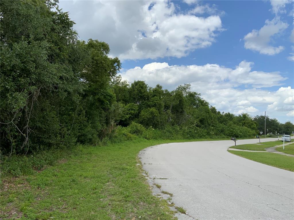 A curved paved road borders a dense, wooded lot under a partly cloudy sky — HASTINGS DRIVE, DELTONA, FL