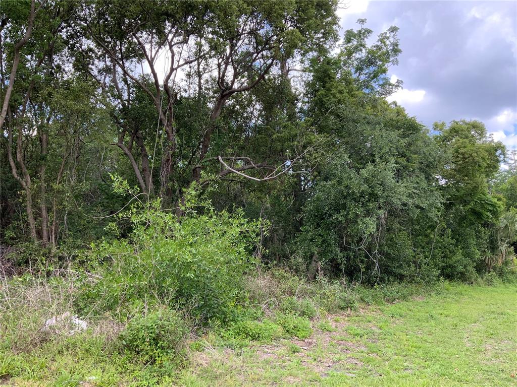 A dense wooded area borders a patch of green grass under a partly cloudy sky — HASTINGS DRIVE, DELTONA, FL