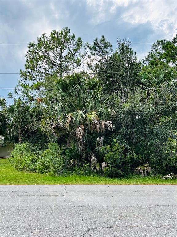 A view of a grassy lot with dense trees and palm trees along a road — 3 SEATTLE TRAIL, PALM COAST, FL