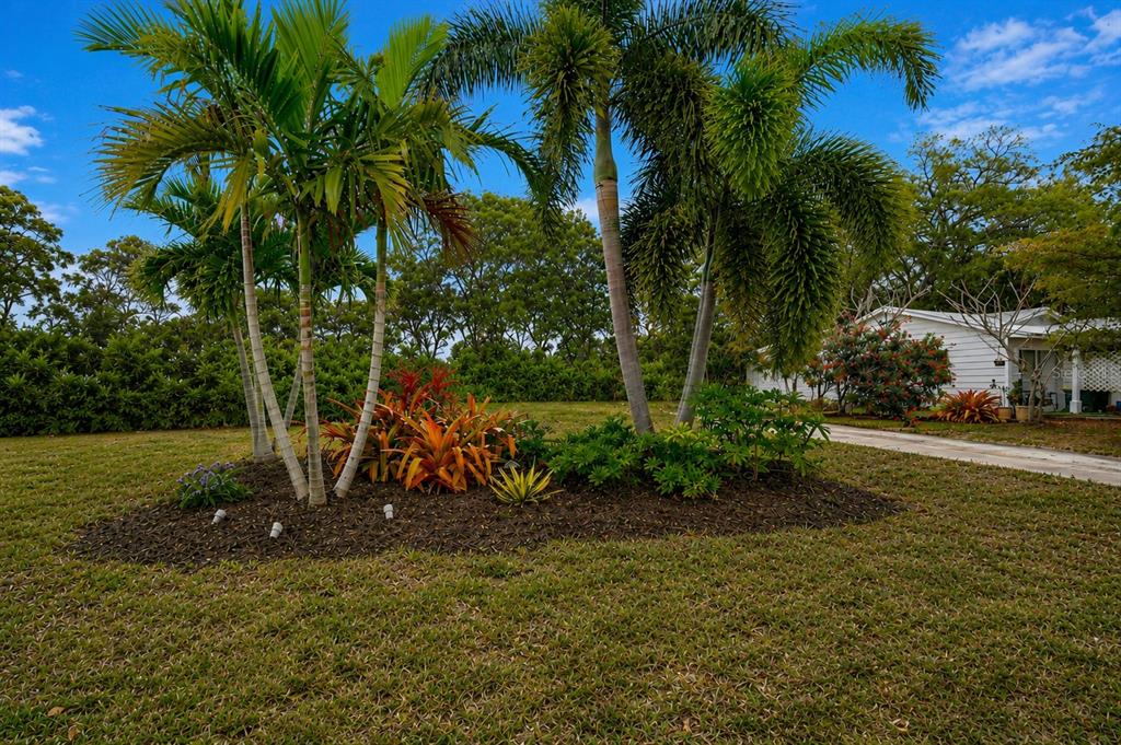 A landscaped garden bed with palm trees and tropical plants sits in a grassy yard — 463 ACACIA DRIVE, SARASOTA, FL