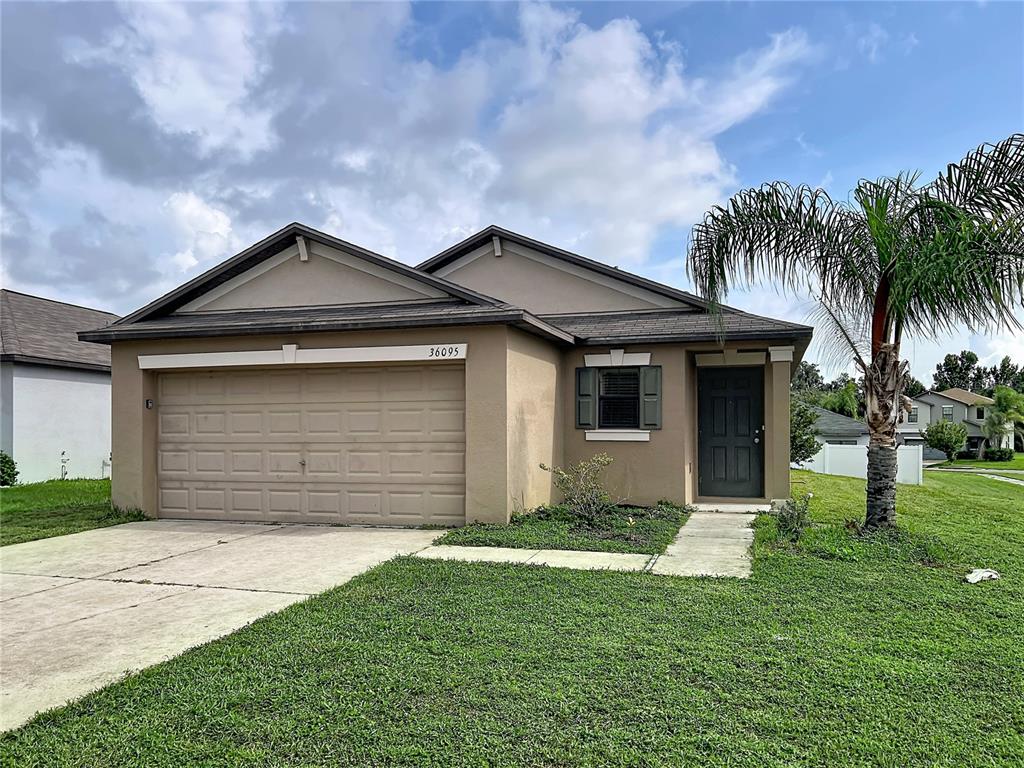 36095 CARRIAGE PINE COURT