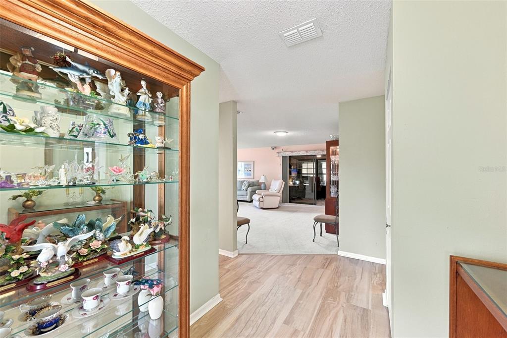 A glass display cabinet stands in a hallway leading to a living room with carpet — 1618 LAYTON COURT, SUN CITY CENTER, FL