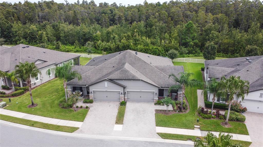 19357 HAWK VALLEY DRIVE, TAMPA, FL — photo 2 of 30