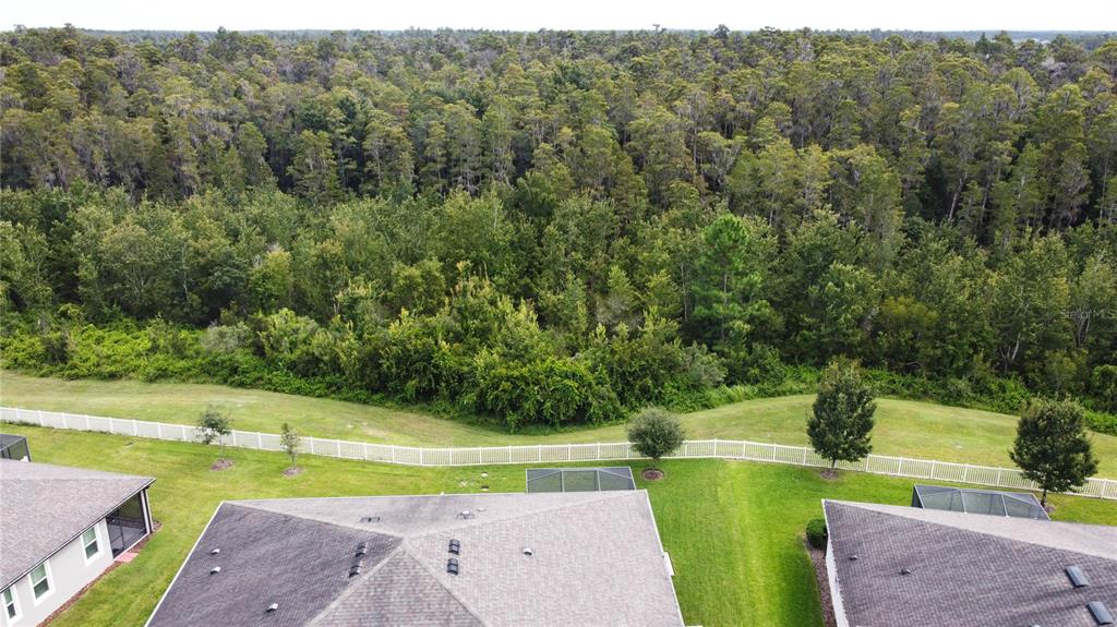 19357 HAWK VALLEY DRIVE, TAMPA, FL — photo 3 of 30