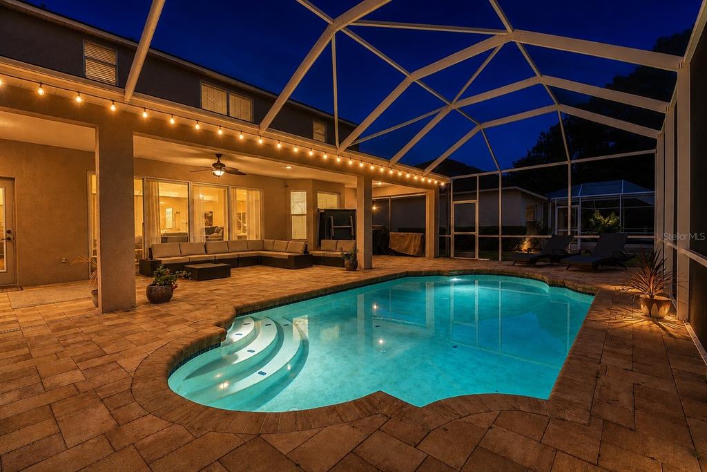 A screened-in patio features a swimming pool with steps, stone pavers, and string lighting — 10436 CANARY ISLE DRIVE, TAMPA, FL