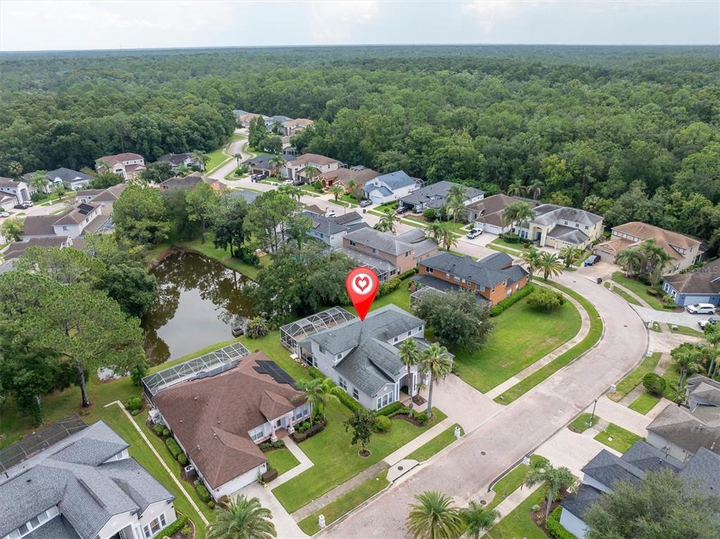 An aerial view shows a suburban house with a pool cage near a small pond — 10436 CANARY ISLE DRIVE, TAMPA, FL