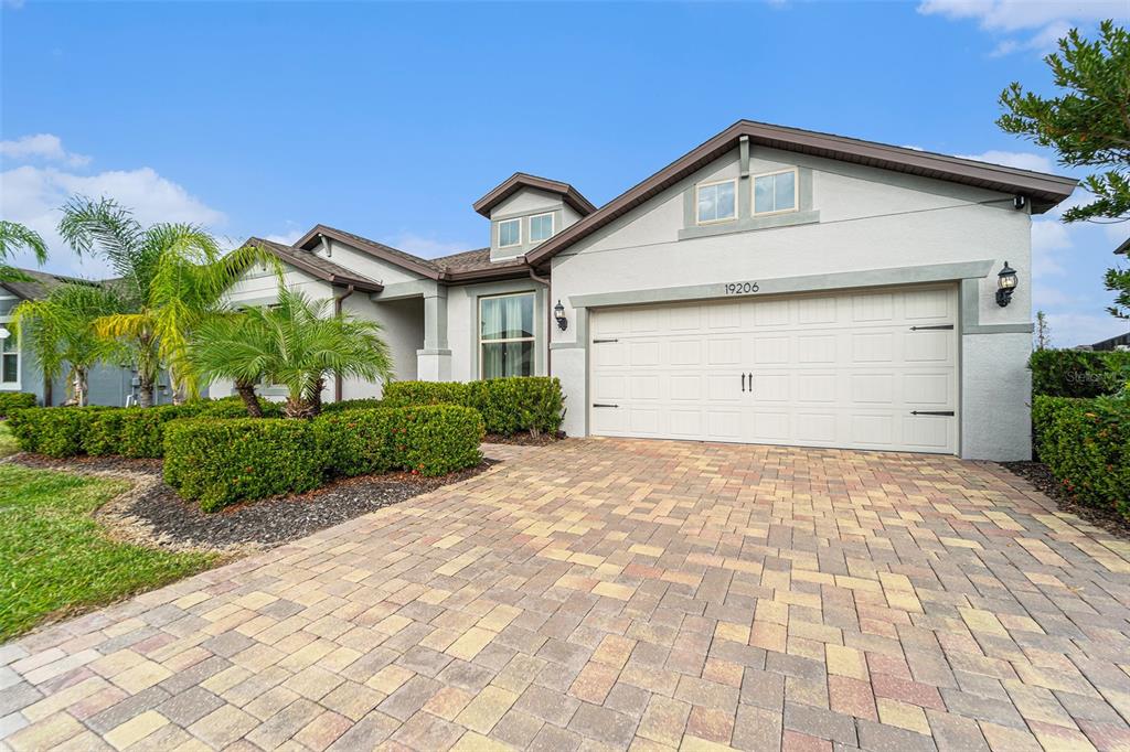A single-story house with a paved driveway, a two-car garage, and manicured landscaping — 19206 BRIARBROOK DRIVE, TAMPA, FL