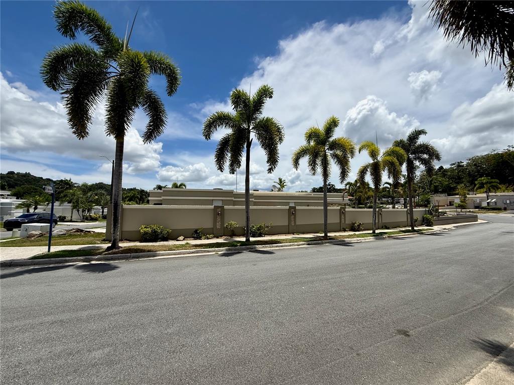 A row of palm trees stands in front of a long, beige perimeter wall — 834 CALLE 3 UNIT B13, GUAYNABO, PR