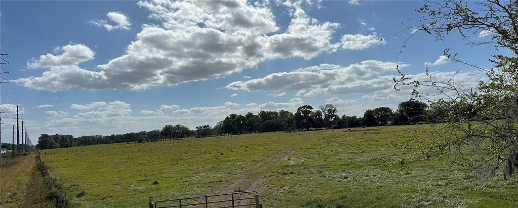 A wide, grassy field with a metal gate in the foreground and trees in back — CR 523, COLEMAN, FL