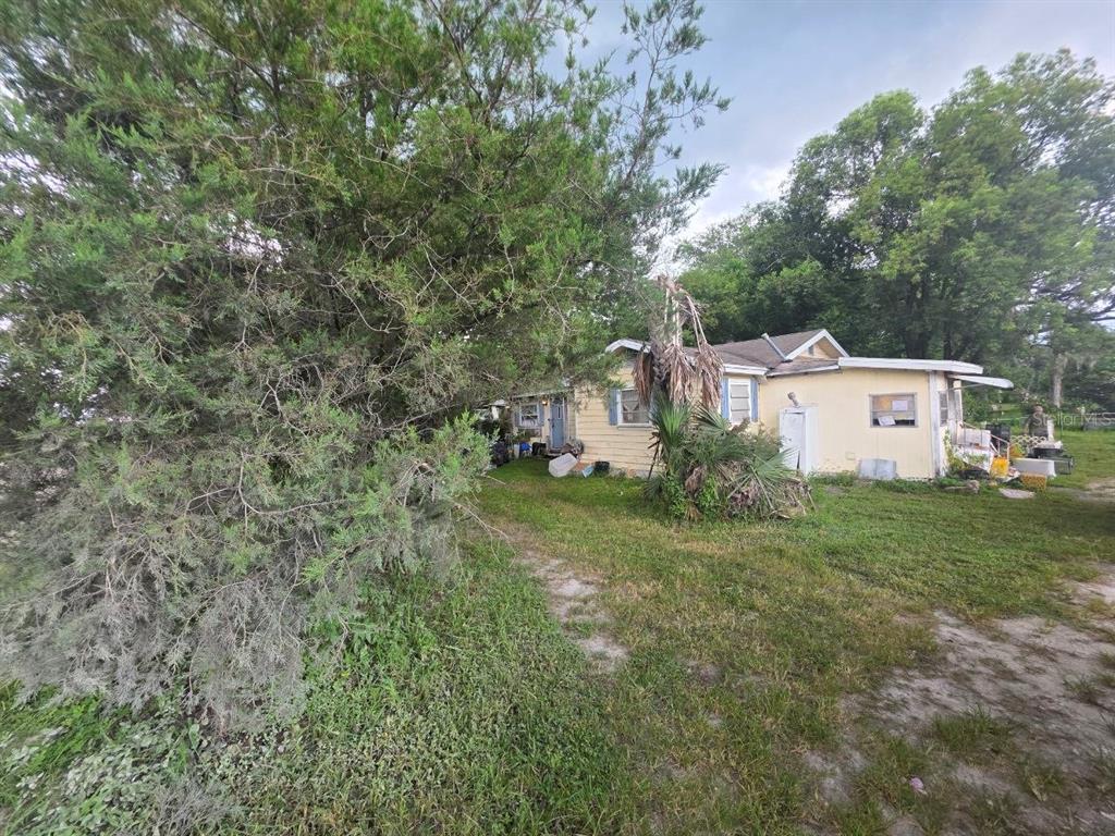 A yellow single-story house sits on a grassy lot surrounded by large trees and vegetation — 39521 COIT ROAD, DADE CITY, FL