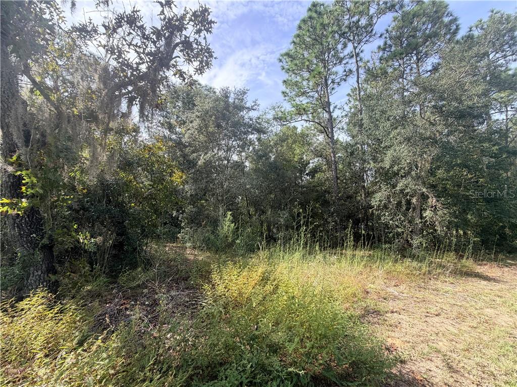 5066 E Anna Jo DRIVE