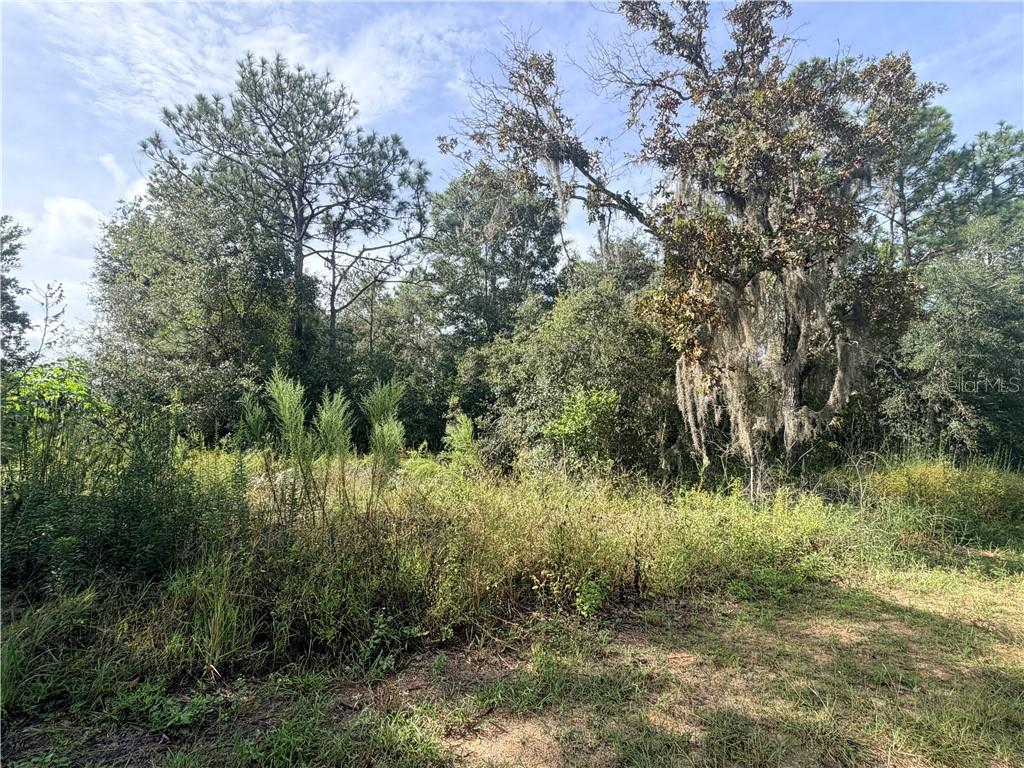 5066 E Anna Jo DRIVE, INVERNESS, FL — photo 2 of 4