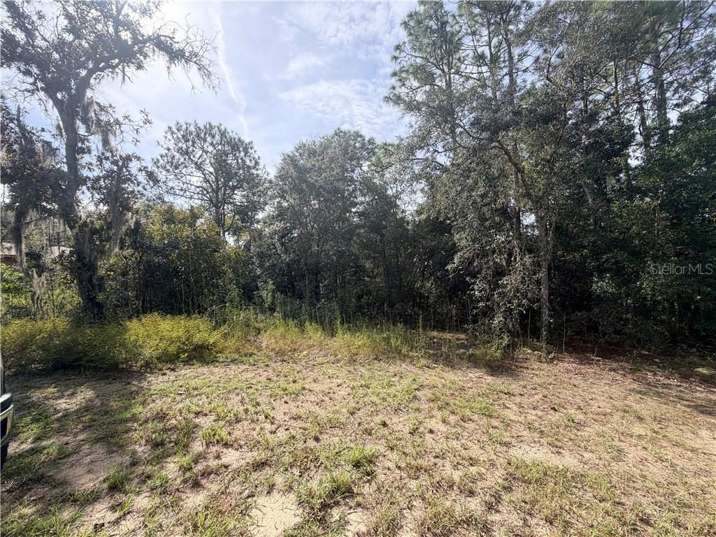 5066 E Anna Jo DRIVE, INVERNESS, FL — photo 3 of 4