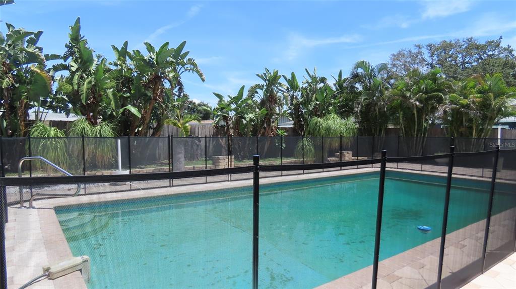 A backyard swimming pool is enclosed by a black mesh safety fence with tropical landscaping — 2376 MILLWOOD LANE, CLEARWATER, FL
