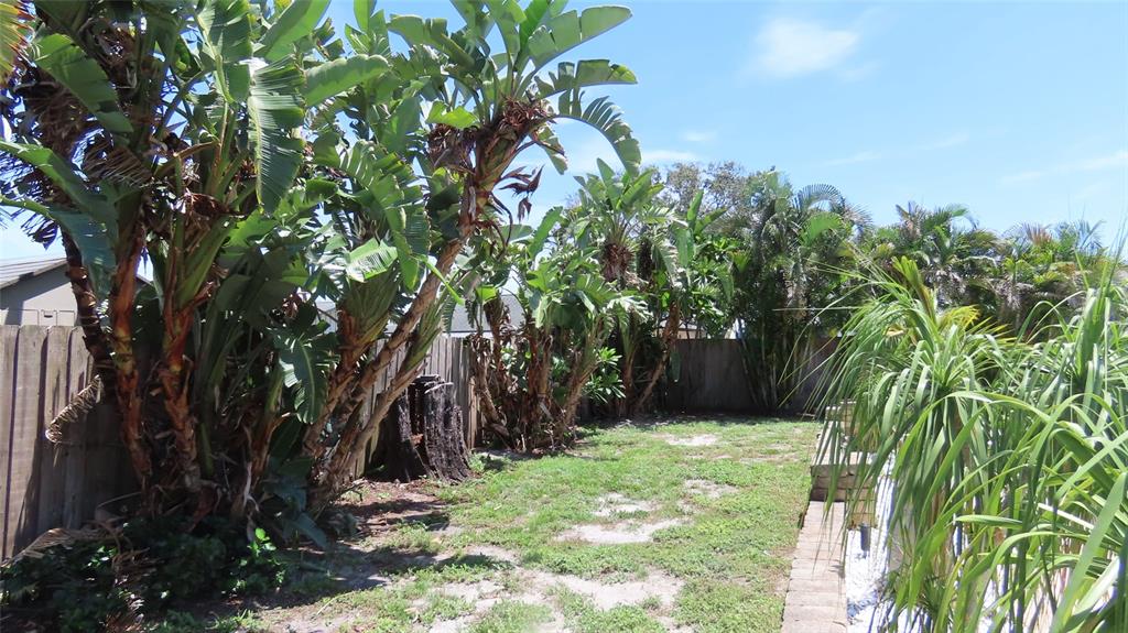 A backyard features a wooden fence, large tropical plants, and a patch of grass — 2376 MILLWOOD LANE, CLEARWATER, FL