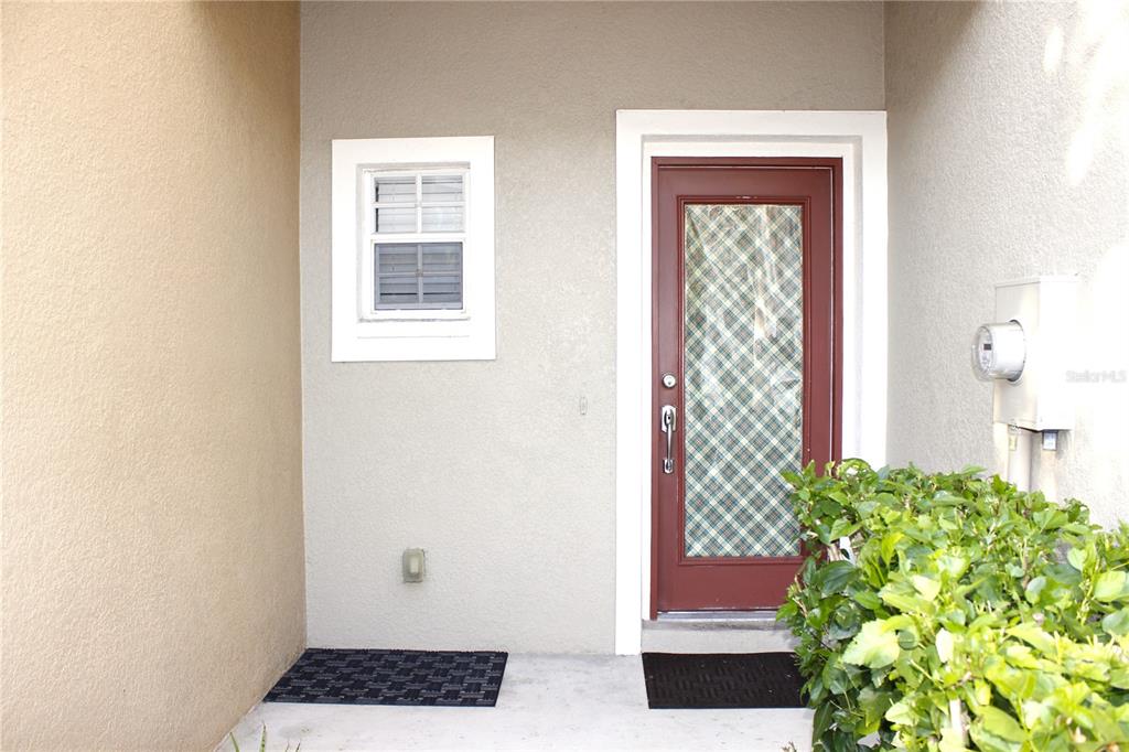 A front entryway features a brown door with a glass insert, a window, and landscaping — 314 SUMMER CLOUDS PL, BRANDON, FL