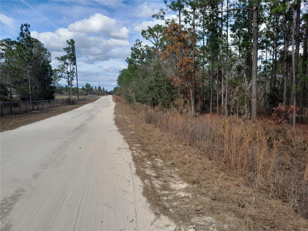 A dirt road runs alongside a wooded area under a partly cloudy sky — tbd NE 150TH AVENUE, WILLISTON, FL