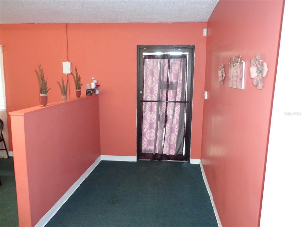 An entryway with coral walls, a half-wall partition, green carpeting, and a glass-paneled door — 1904 W WATERS AVE, TAMPA, FL