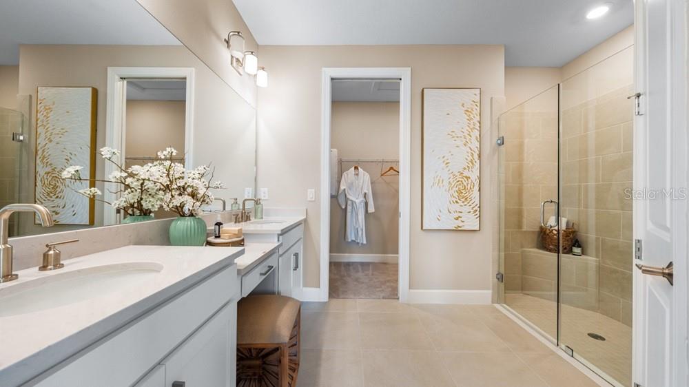 A bathroom features a double vanity, a walk-in glass shower, and an adjacent walk-in closet — 3801 FRACCARETA WAY, WESLEY CHAPEL, FL