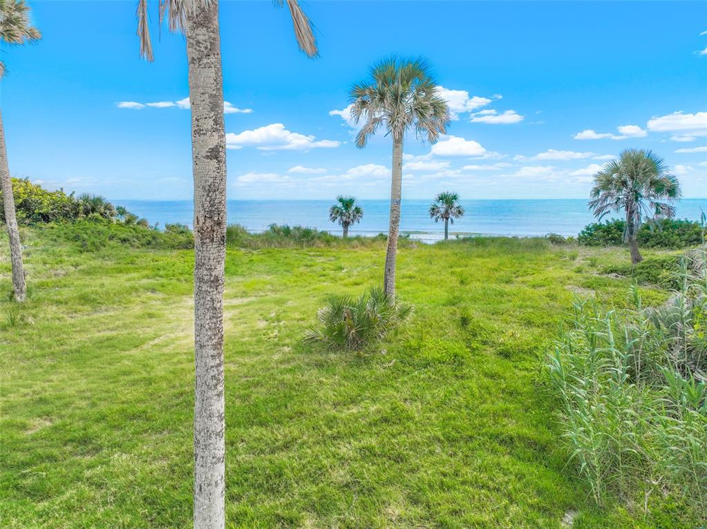 A grassy lot with palm trees overlooks the ocean under a blue sky with clouds — 67 OCEAN SHORE BOULEVARD, ORMOND BEACH, FL