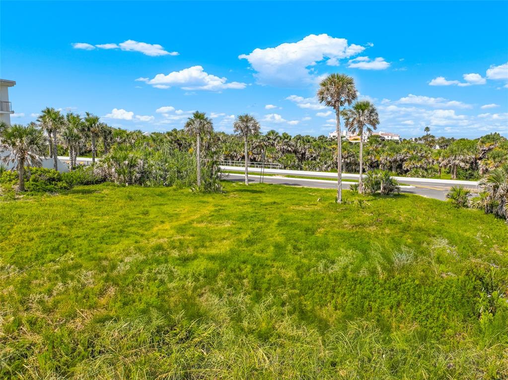 A grassy vacant lot features scattered palm trees and a road in the background — 67 OCEAN SHORE BOULEVARD, ORMOND BEACH, FL