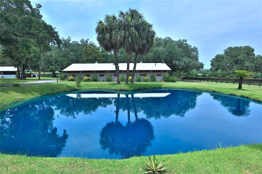 A pond reflects a long, single-story building and palm trees under a blue sky — 13450 NW GAINESVILLE ROAD, REDDICK, FL