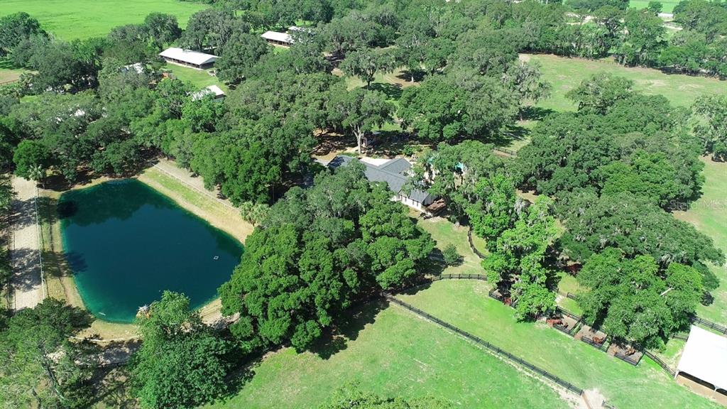 An aerial view shows a house with a pond, fenced pastures, and many mature trees — 13450 NW GAINESVILLE ROAD, REDDICK, FL
