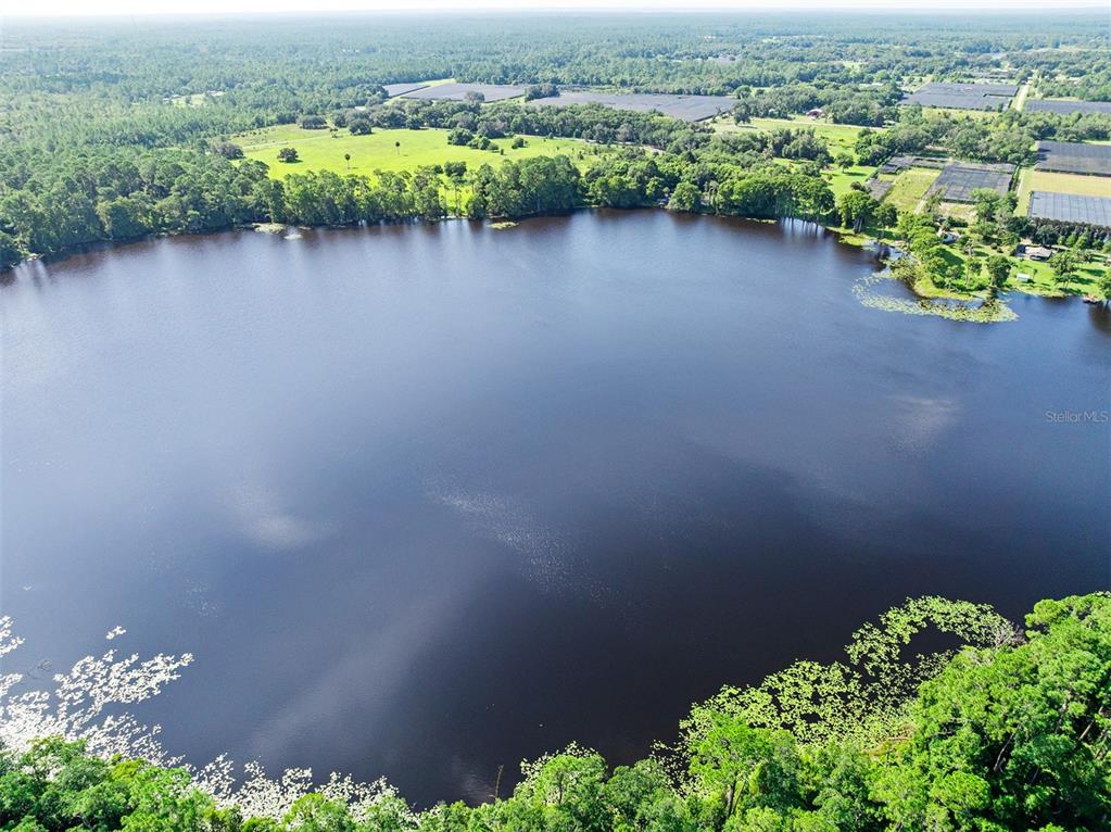 An aerial view shows a large, dark lake surrounded by dense trees and open fields — BLACKBURN ROAD, PIERSON, FL