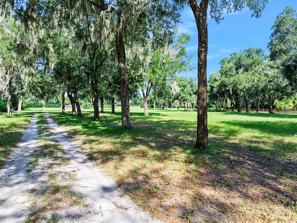 A dirt path leads through a grassy, tree-filled lot with Spanish moss — BLACKBURN ROAD, PIERSON, FL