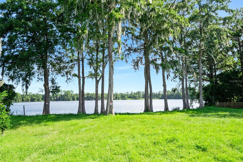 A grassy lawn leads to a row of tall cypress trees overlooking a calm lake — BLACKBURN ROAD, PIERSON, FL