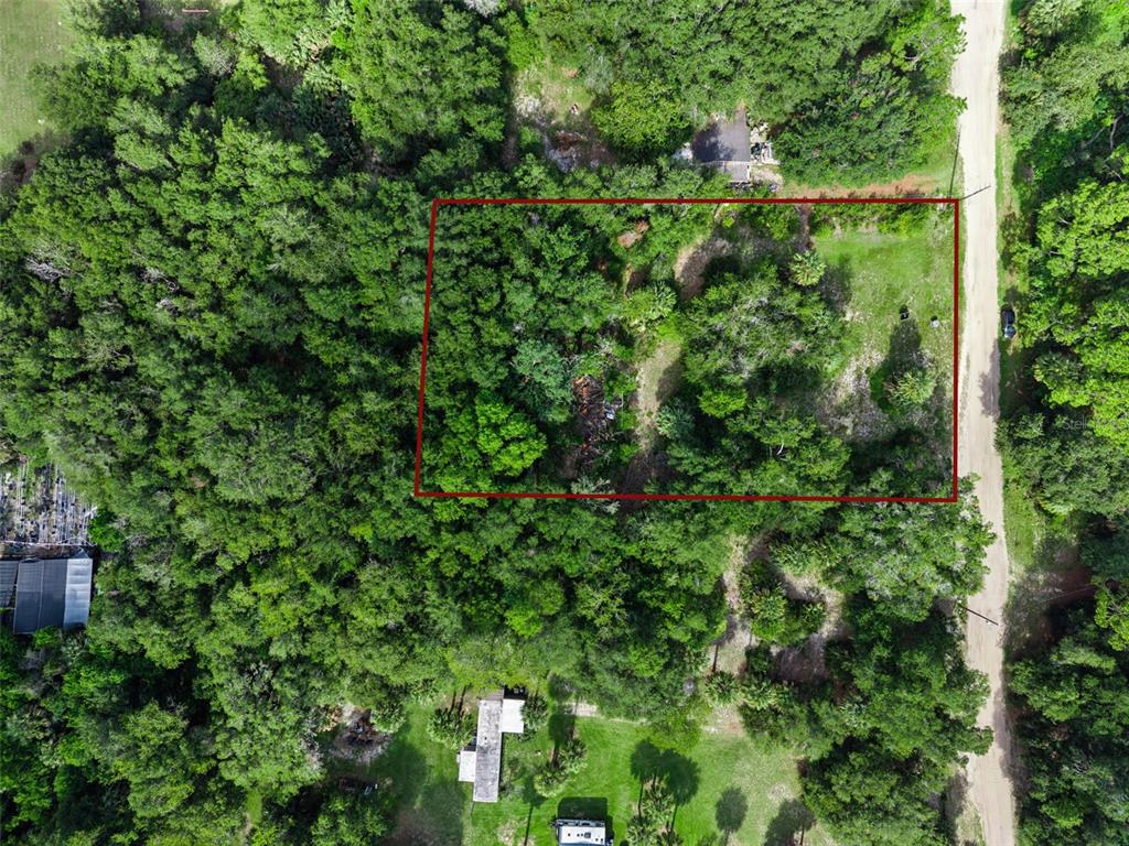An aerial view shows a rectangular plot of land outlined in red amidst dense trees — 22308 HORIZON VISTAS DRIVE, EUSTIS, FL