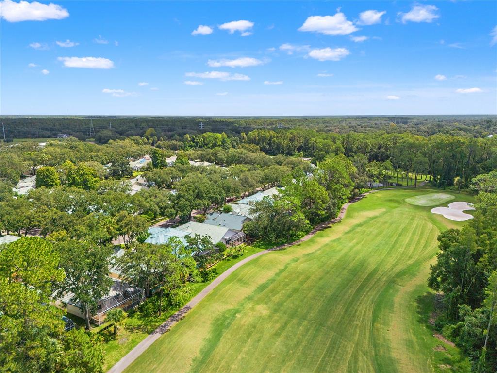 An aerial view shows a golf course fairway adjacent to a residential neighborhood with trees — 6005 FAIRWAY PALMS COURT, TAMPA, FL