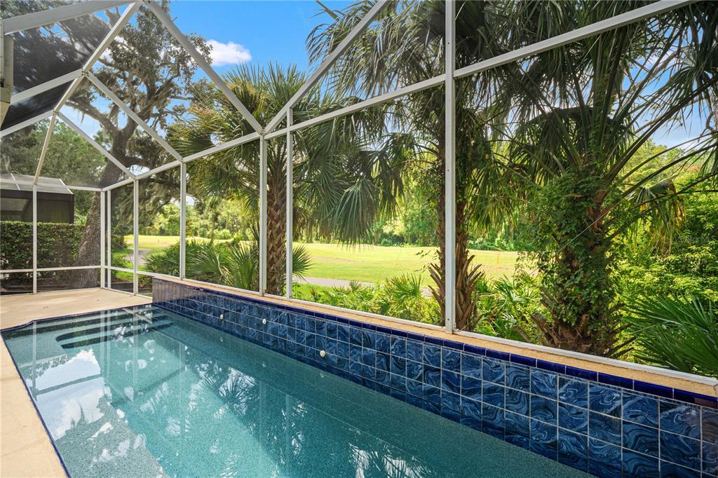 A screened-in pool with blue tile accents overlooks a grassy golf course and palm trees — 6005 FAIRWAY PALMS COURT, TAMPA, FL