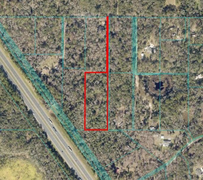 An aerial map shows a rectangular plot of land outlined in red with a narrow access strip — 9550 NW 230 STREET E, MICANOPY, FL
