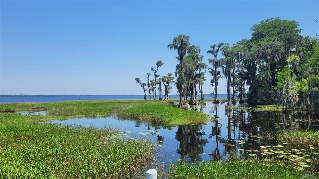 A view of a lake with tall cypress trees and grassy wetlands under a clear sky — 21779 NE 115TH AVENUE, EARLETON, FL