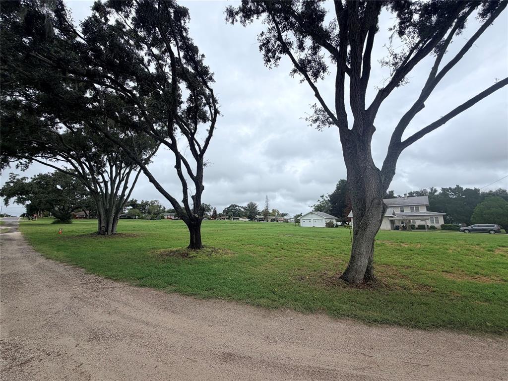 271 LAKEVIEW BOULEVARD, LAKE ALFRED, FL — photo 2 of 5