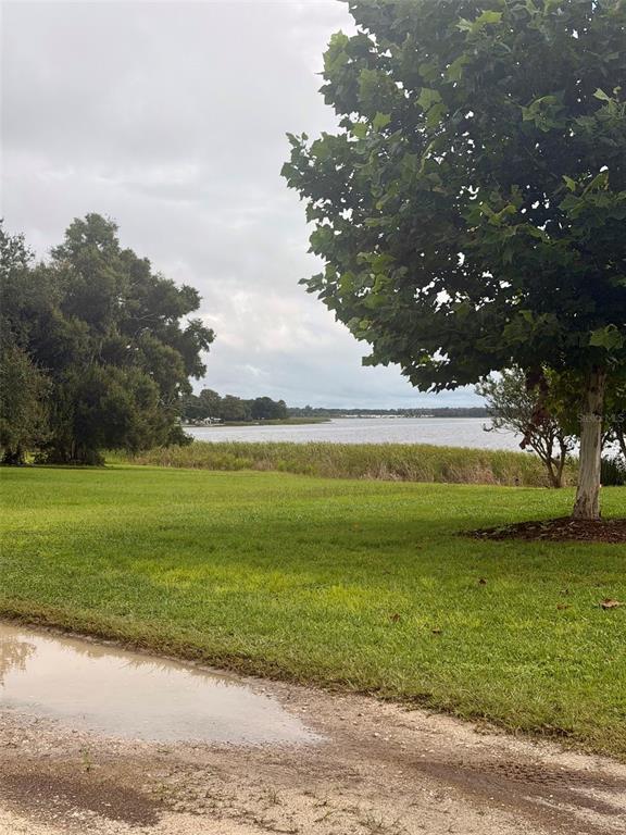 271 LAKEVIEW BOULEVARD, LAKE ALFRED, FL — photo 3 of 5