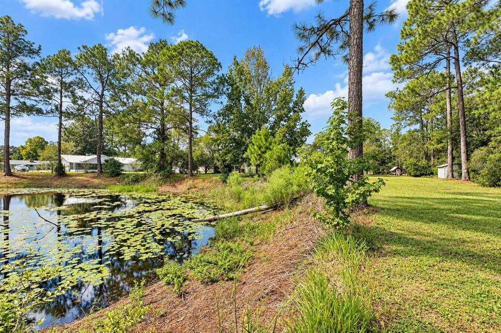 14641 NE 154TH STREET, FORT MC COY, FL — photo 5 of 30