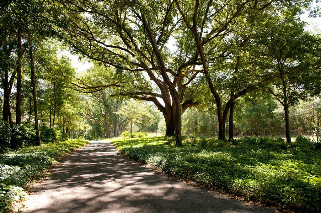 A paved path winds through a wooded area with large, mature trees and lush ground cover — 13485 SW 9TH ROAD, NEWBERRY, FL