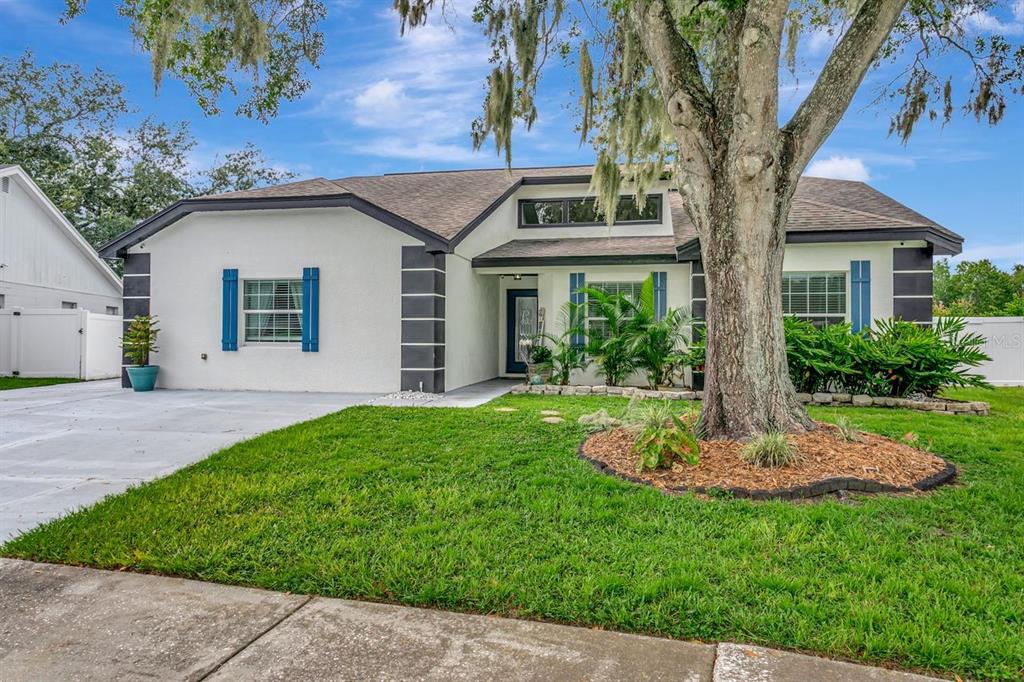 A single-story house with white stucco walls, dark trim, and a large tree in front — 12007 VERMILLION WAY, RIVERVIEW, FL