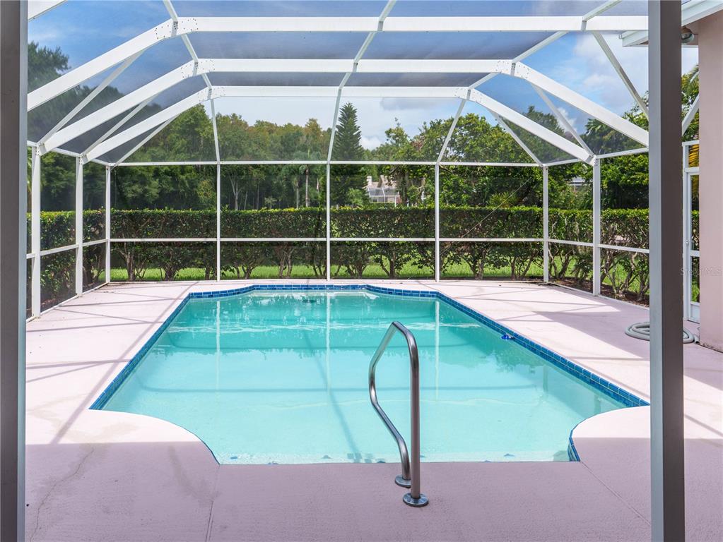A screened-in swimming pool with a metal handrail sits on a patio behind a hedge — 7709 TIMBERWYCK COURT, NEW PORT RICHEY, FL