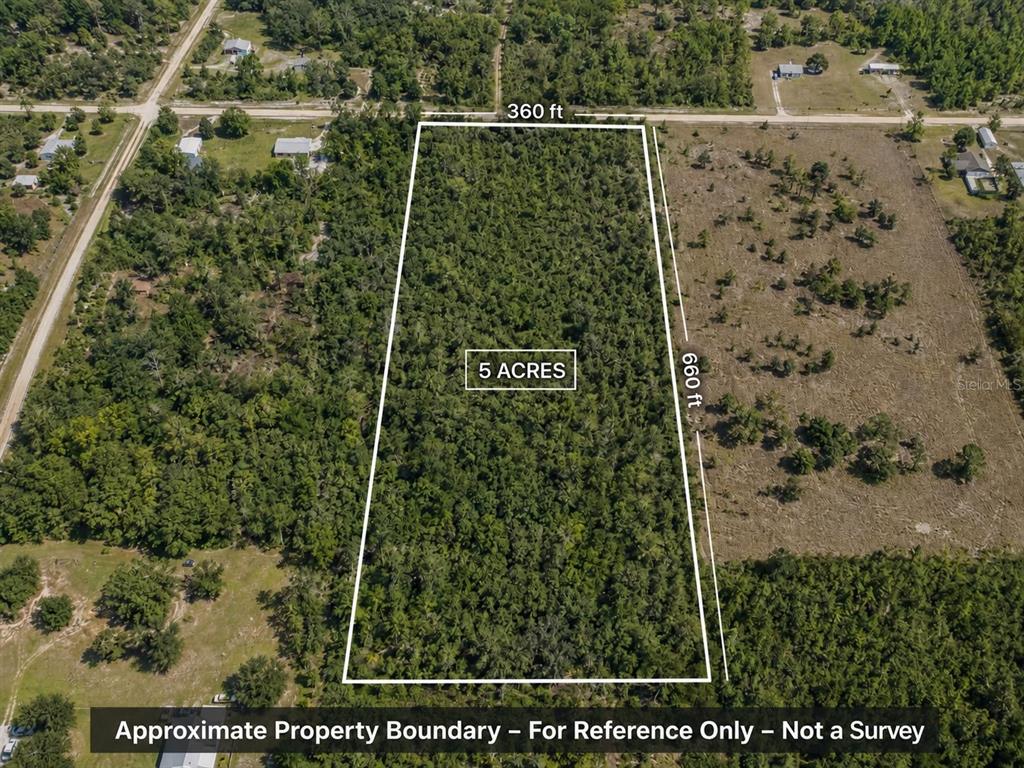 This is an aerial map view of a vacant, wooded lot marked with a red pin — 2733 TAWNY DRIVE, LORIDA, FL