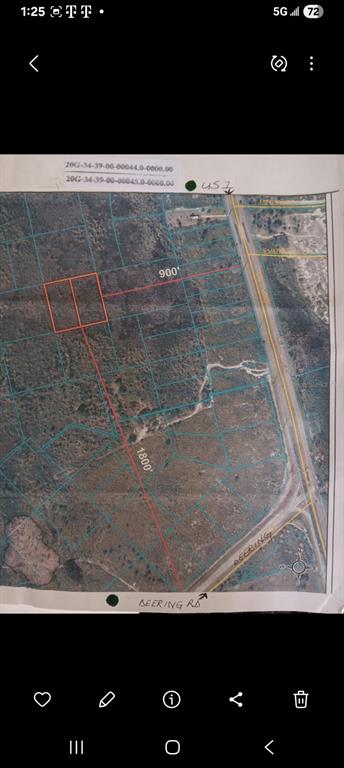 This map shows a land parcel outlined in red with dimensions near a highway intersection — SHORT PARCEL 2003055, MIMS, FL
