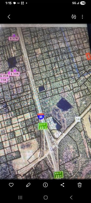 This is a map showing land parcels near Interstate 95 and Exit 231 — SHORT PARCEL 2003055, MIMS, FL