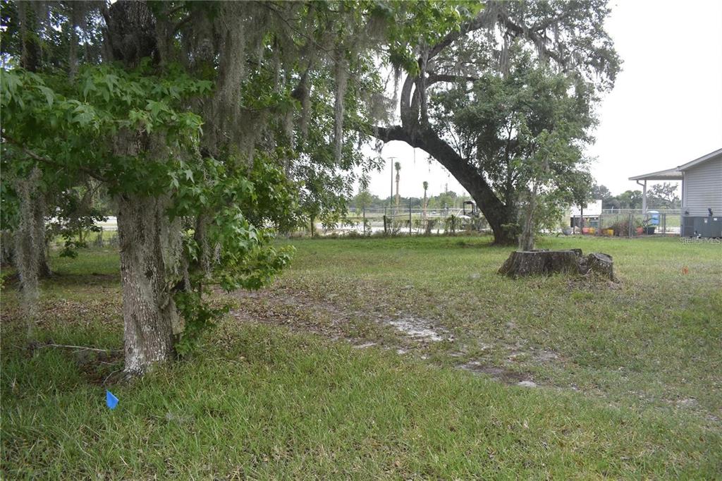 A grassy yard features a large tree with Spanish moss and a prominent tree stump — LOT 61 BLK C LEXINGTON CIRCLE, WILDWOOD, FL