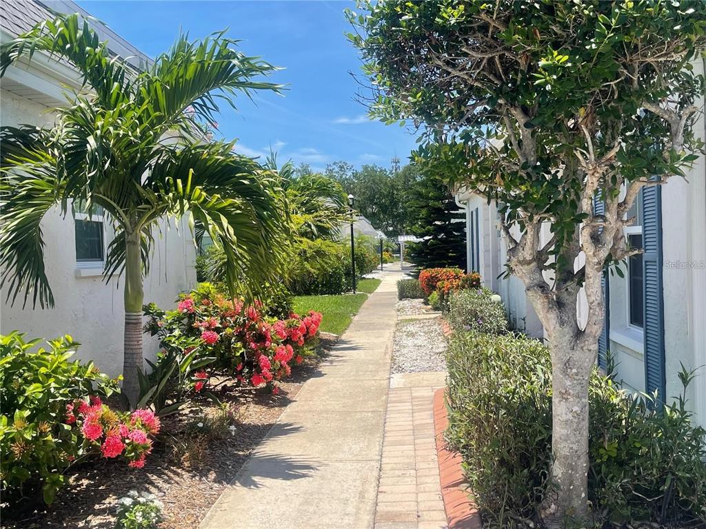 A concrete walkway leads between two white buildings surrounded by tropical landscaping and palm trees — 9819 HERNANDO COURT UNIT 29-A, BRADENTON, FL