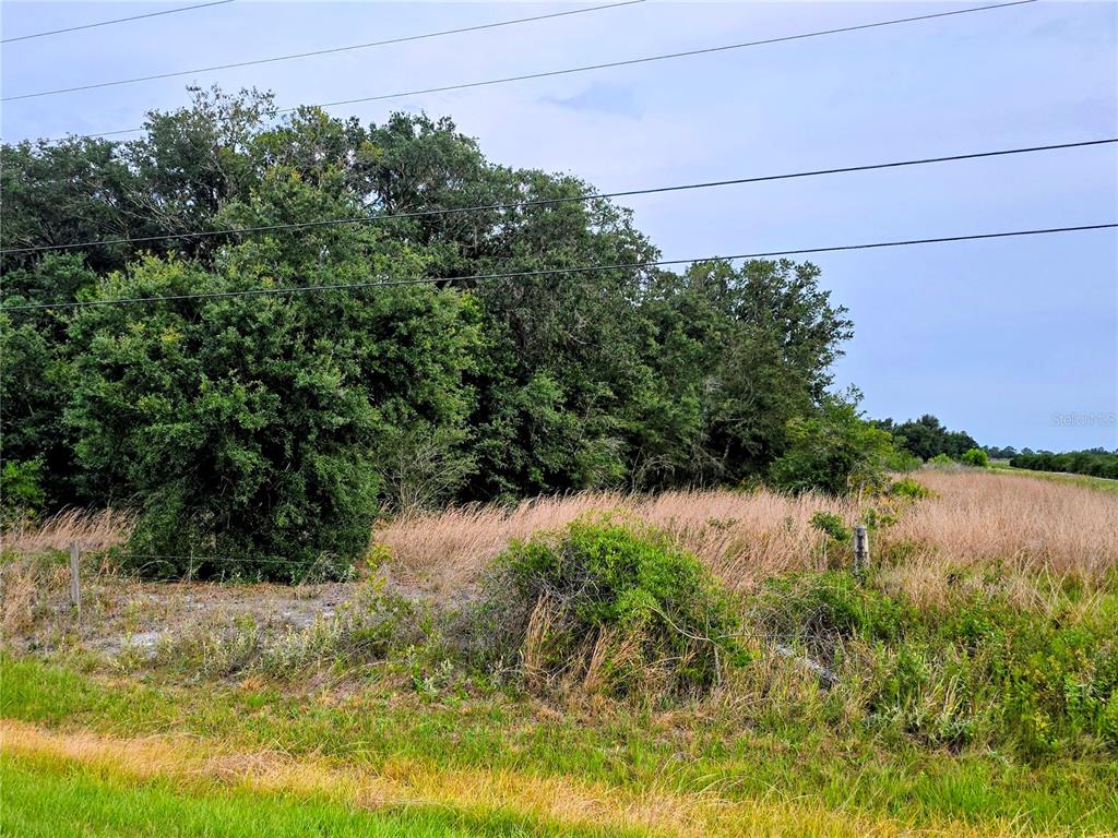 A grassy field sits in front of a dense line of trees under a cloudy sky — AVON-PARK CUTOFF ROAD, FORT MEADE, FL